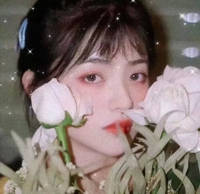 美人记·昭君